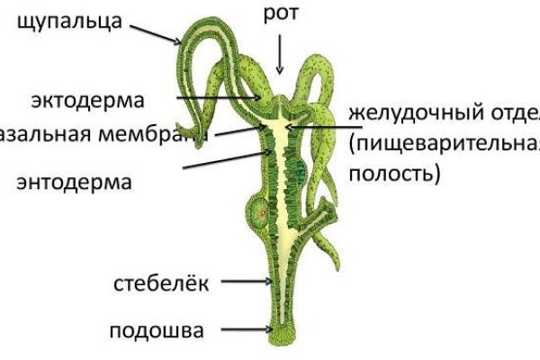 Кракен маркет дарнет только через тор